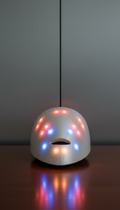 Masque LED facial